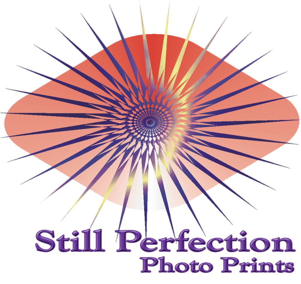 Return to Home Page Still Perfection Logo